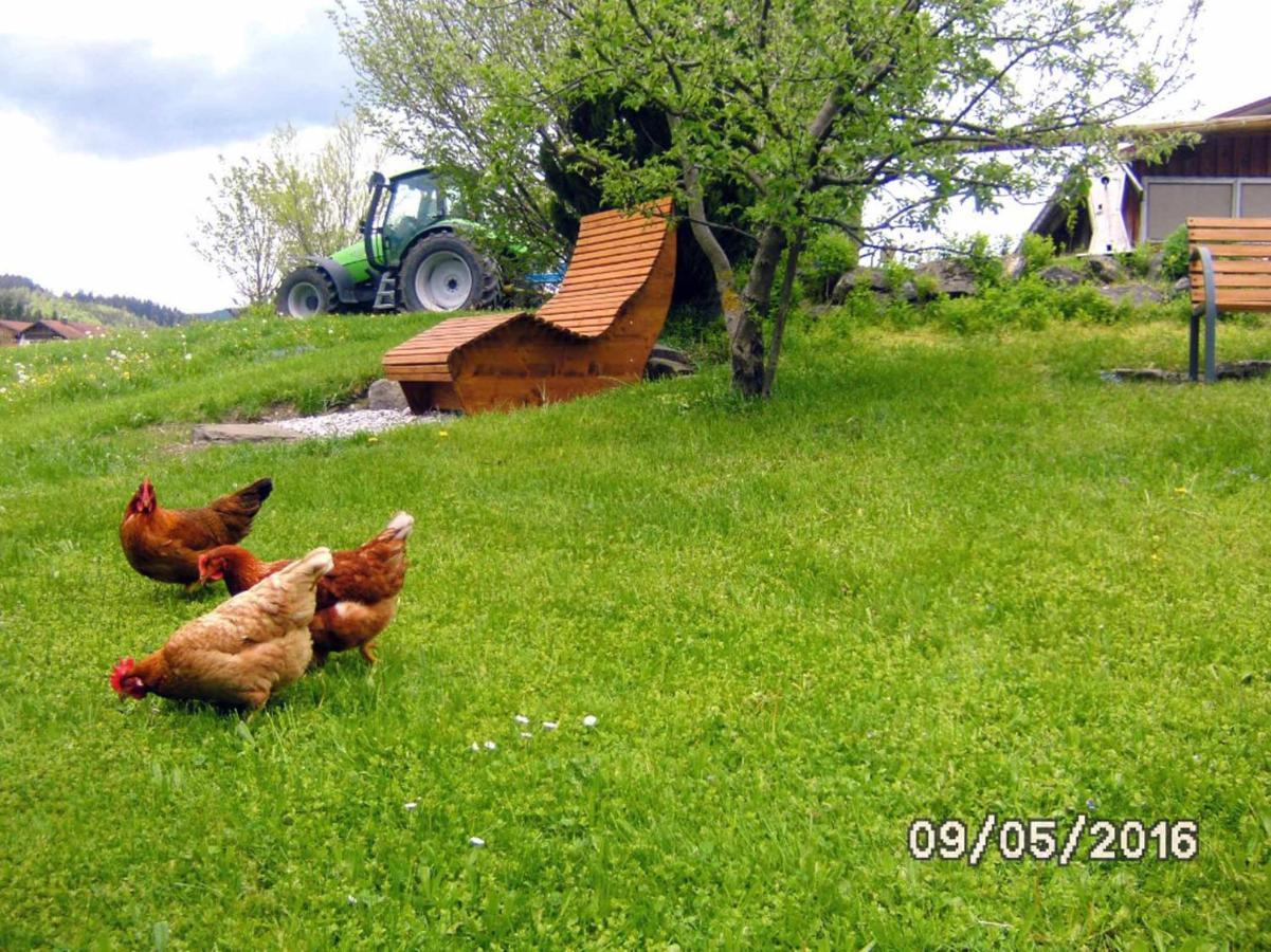 Ferienwohnung Ferienbauernhof Köpf Füssen Exterior foto